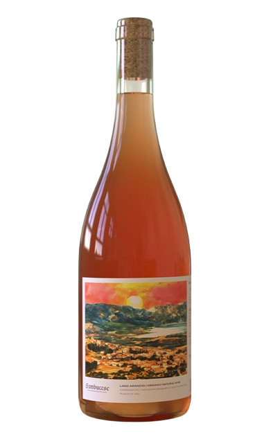 Sambucese Organic Orange Wine   750 Ml